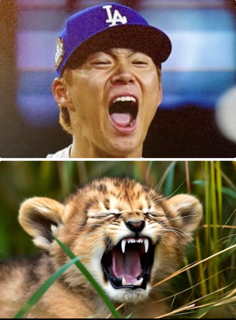 Screenshot_20251102-133603~2