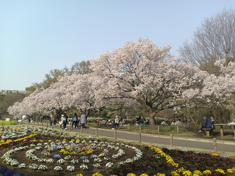 KIMG20250326_153738777