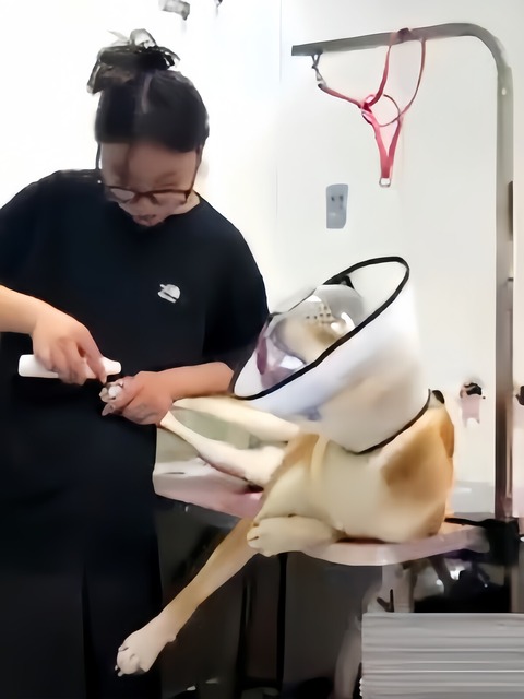no title