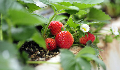 154079285492_20181029