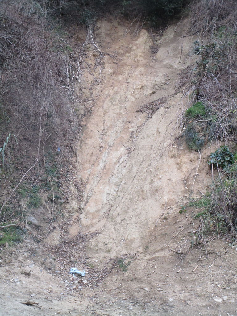 崖崩れ 高浜６丁目 三津ヶ浜のげんたろう その２