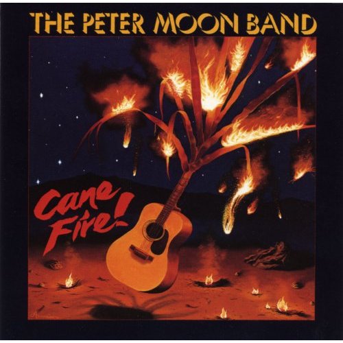 PETER MOON BAND,ピーター・ムーン・バンド,AOR,ハワイ PETER