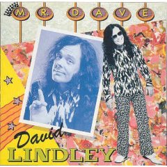 80s USA製 DAVID LINDLEY デヴィッド リンドレー ラスタ希少 デイヴィッド・リンドレーの名演10選｜Lonesome Cowboy