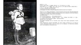 スライド11