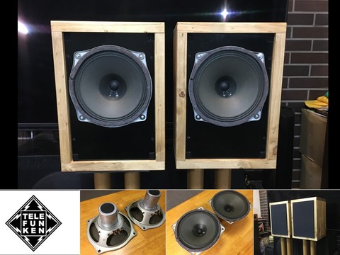 Telefunken 純正21㎝ 口径アルニコフルレンジシステム_原点にして傑作