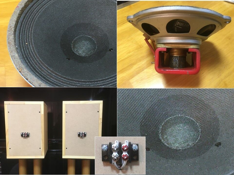 Isophon/Telefunken アルニコフルレンジ P1318 システム Isophon