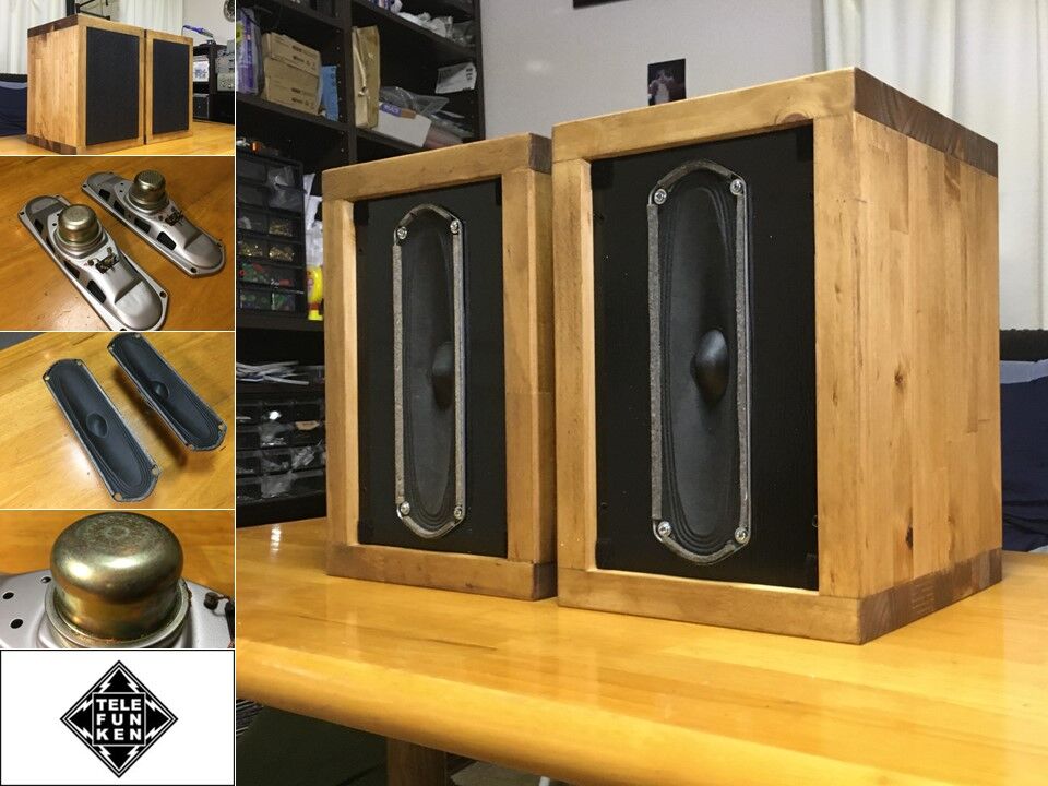 西独 Telefunken ビンテージ70x250㎜超楕円フルレンジスピーカー