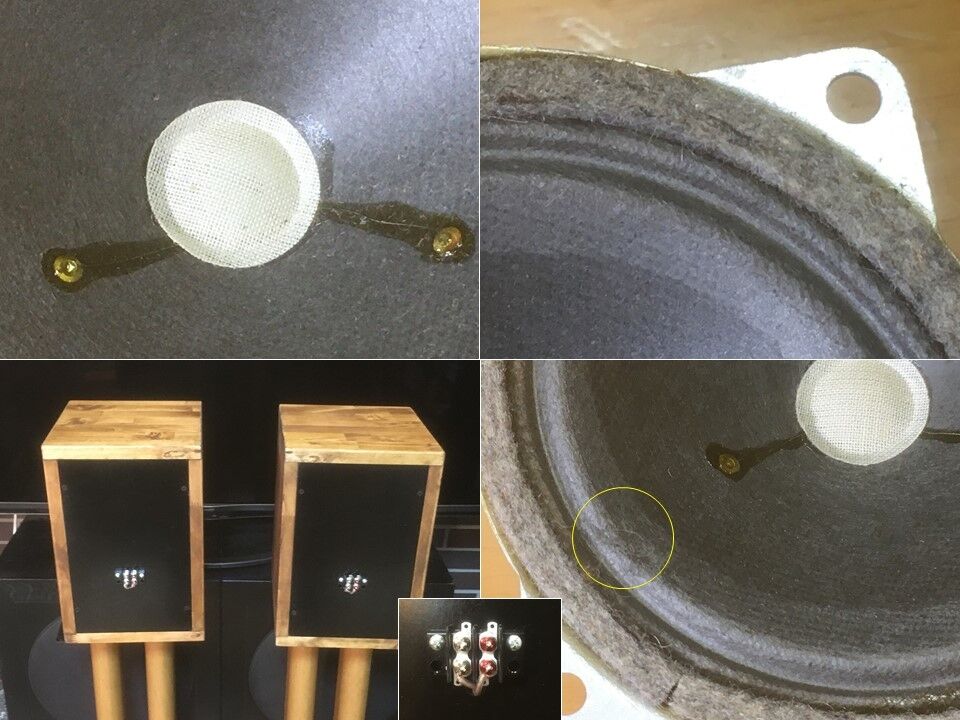 東独 RFT ビンテージ L557 10cm口径傑作ユニット採用システム