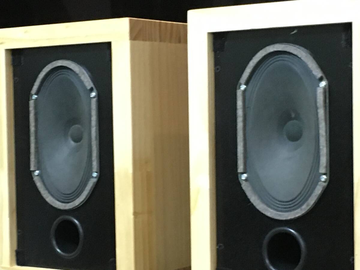 Telefunken ビンテージ録音モニタースピーカー ペア 驚きの高
