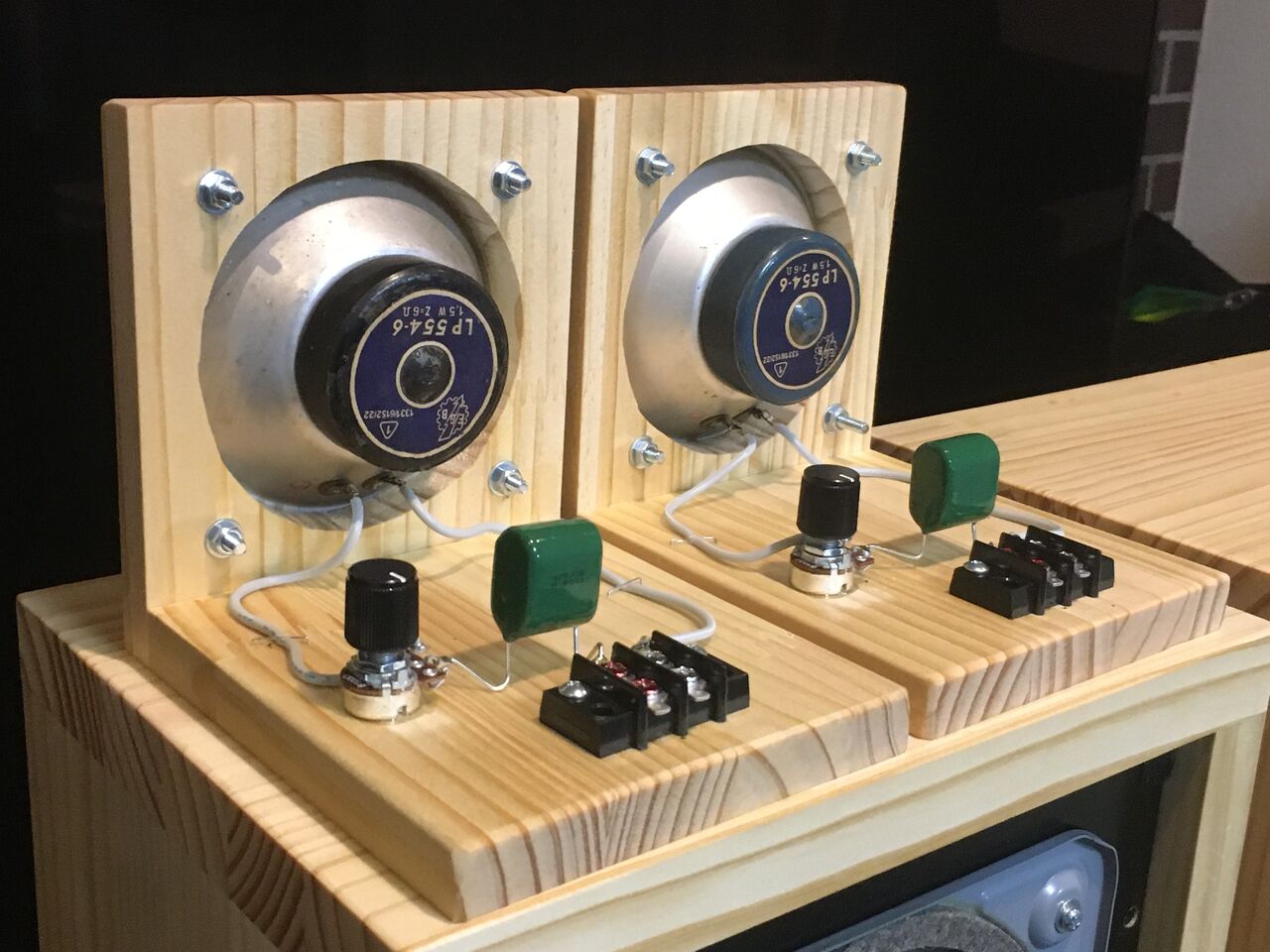 東独EGB/RFT LP554 センターダンパービンテージ アドオンツィータ