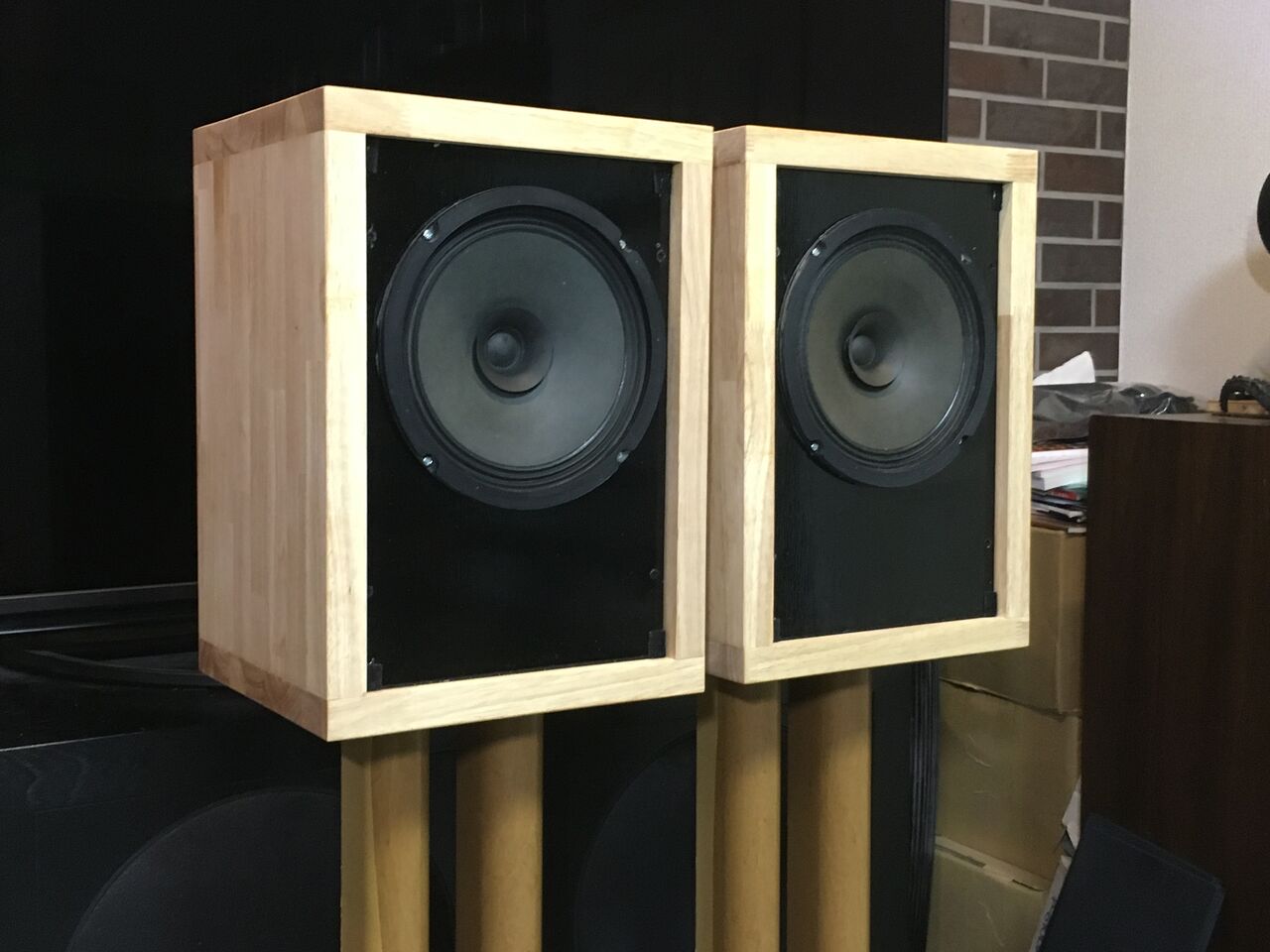 独 VISATON20cm口径フルレンジ＝BG20システム 高能率・広帯域 ペア