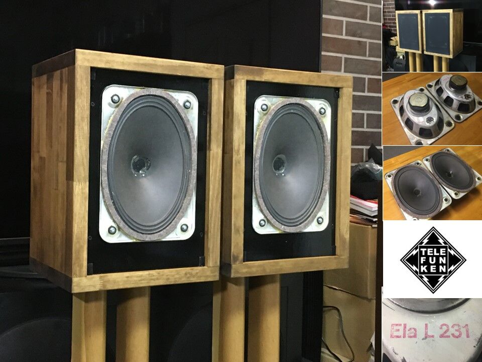 超希少！! Telefunken 純正18×26㎝ 究極フルレンジシステム プロ用最