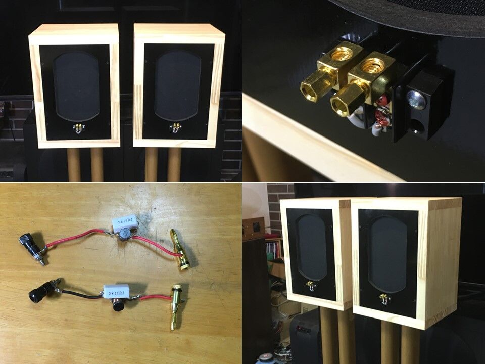 ウルトラレア！Telefunken 純正18×26㎝ 究極ユニット Ela L231