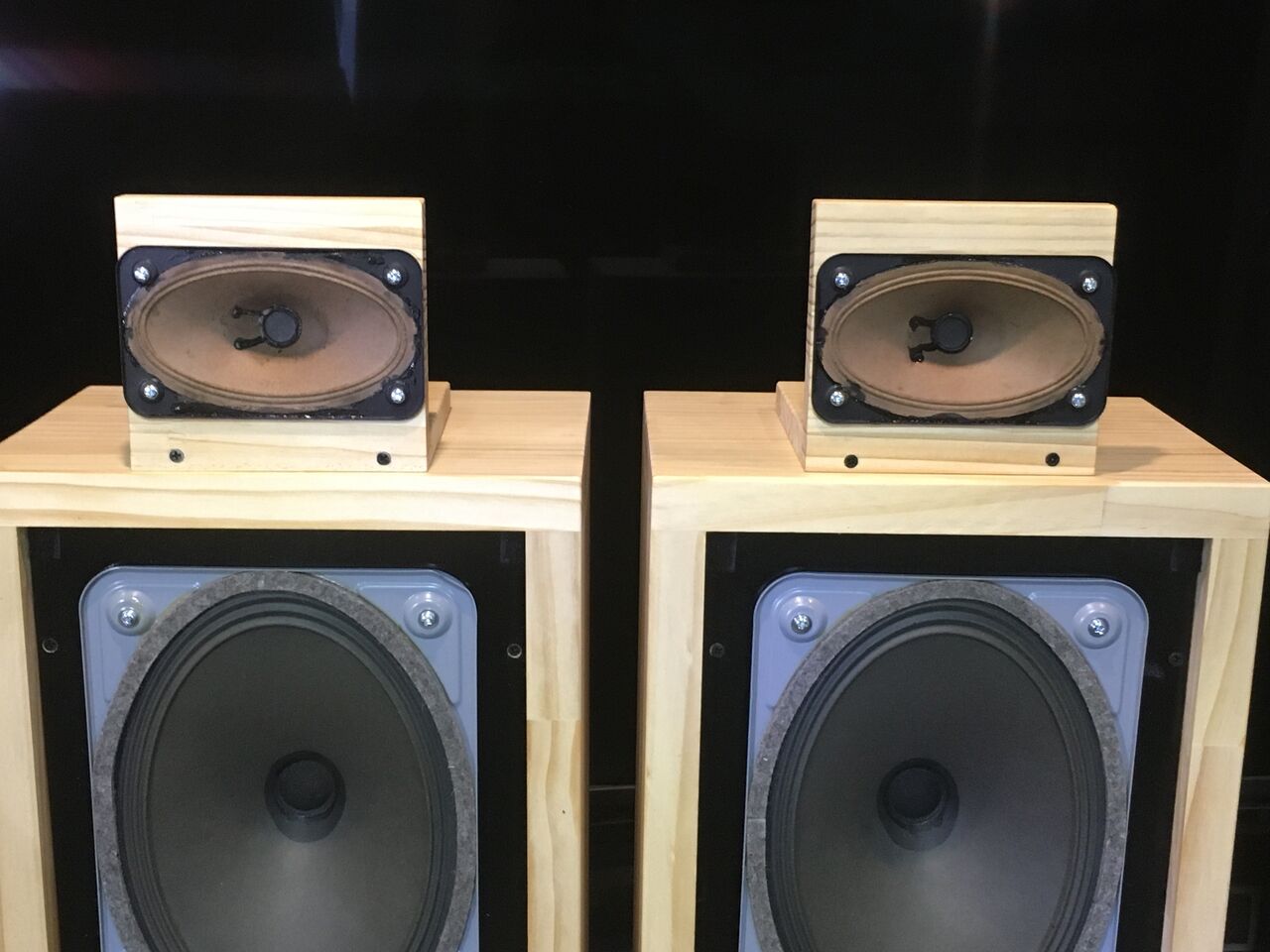 Telefunken ビンテージアルニコ 超(長)楕円スピーカー システム