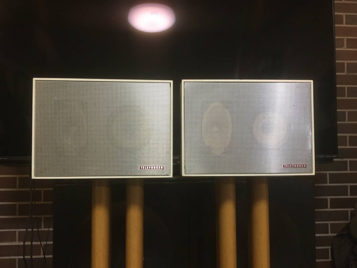 西独 Telefunken アルニコ15x21㎝フルレンジシステム わたっ ペア 西独 Telefunken アルニコ15x21㎝フルレンジシステム わたっ ペア