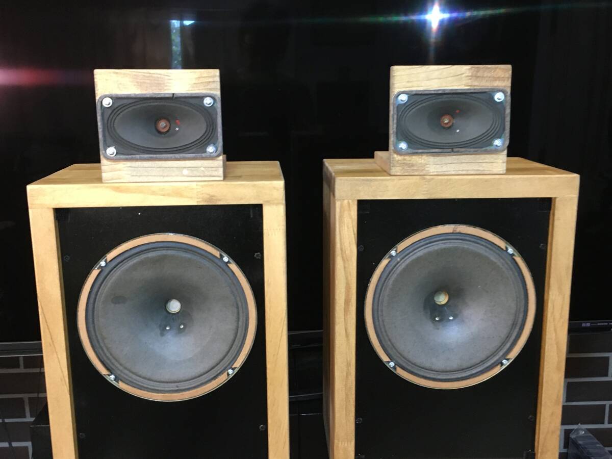 Telefunken ビンテージ アドオンアルニコツィータシステム ペア！