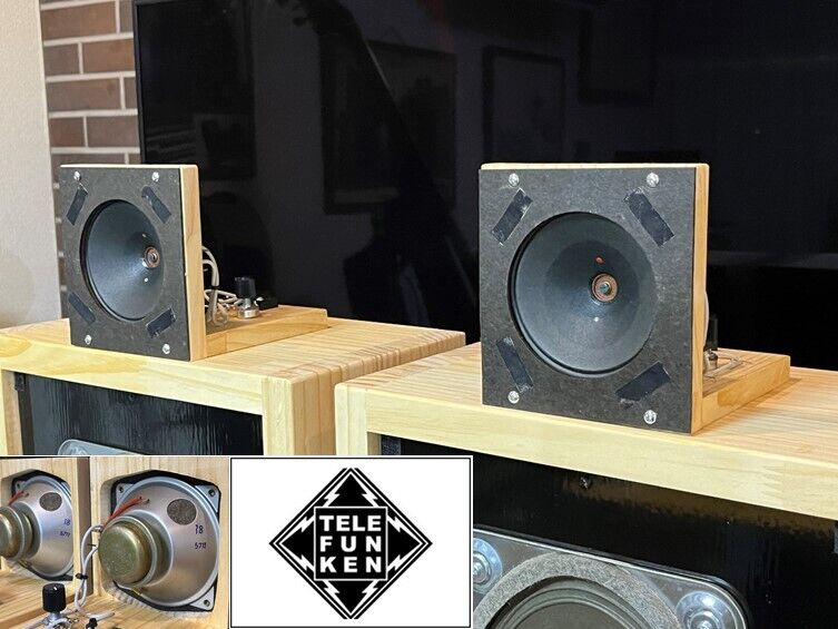 Telefunken ビンテージ アドオンアルニコツィータシステム ペア！ Telefunken ビンテージ アドオンアルニコツィータシステム ペア！