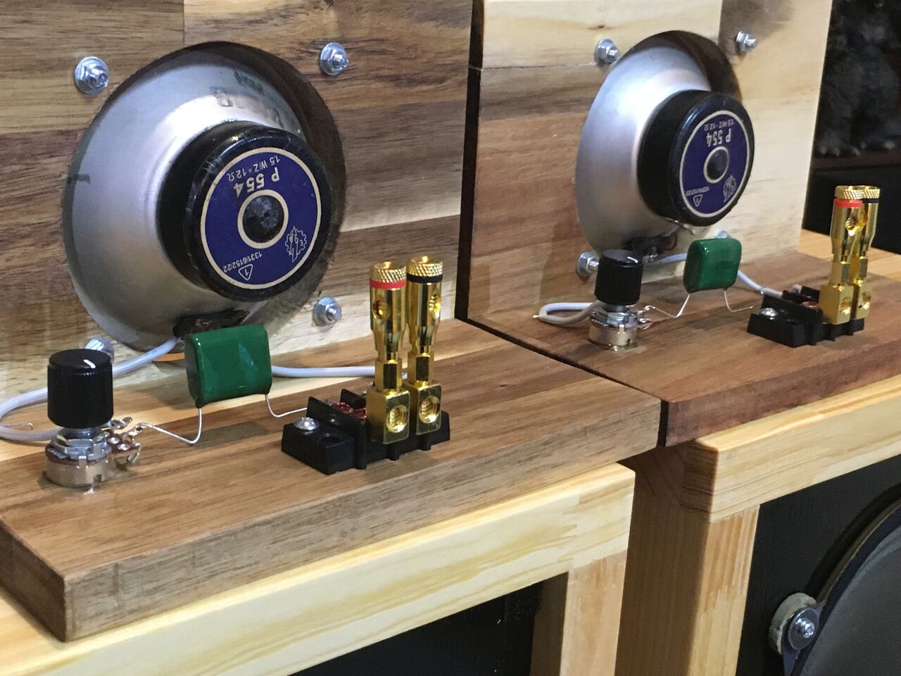 東独 RFT/EGB P554センターダンパービンテージ アドオンツィータ