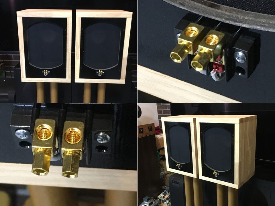 独 VISATON20cm口径フルレンジ＝BG20システム 高能率・広帯域 ペア