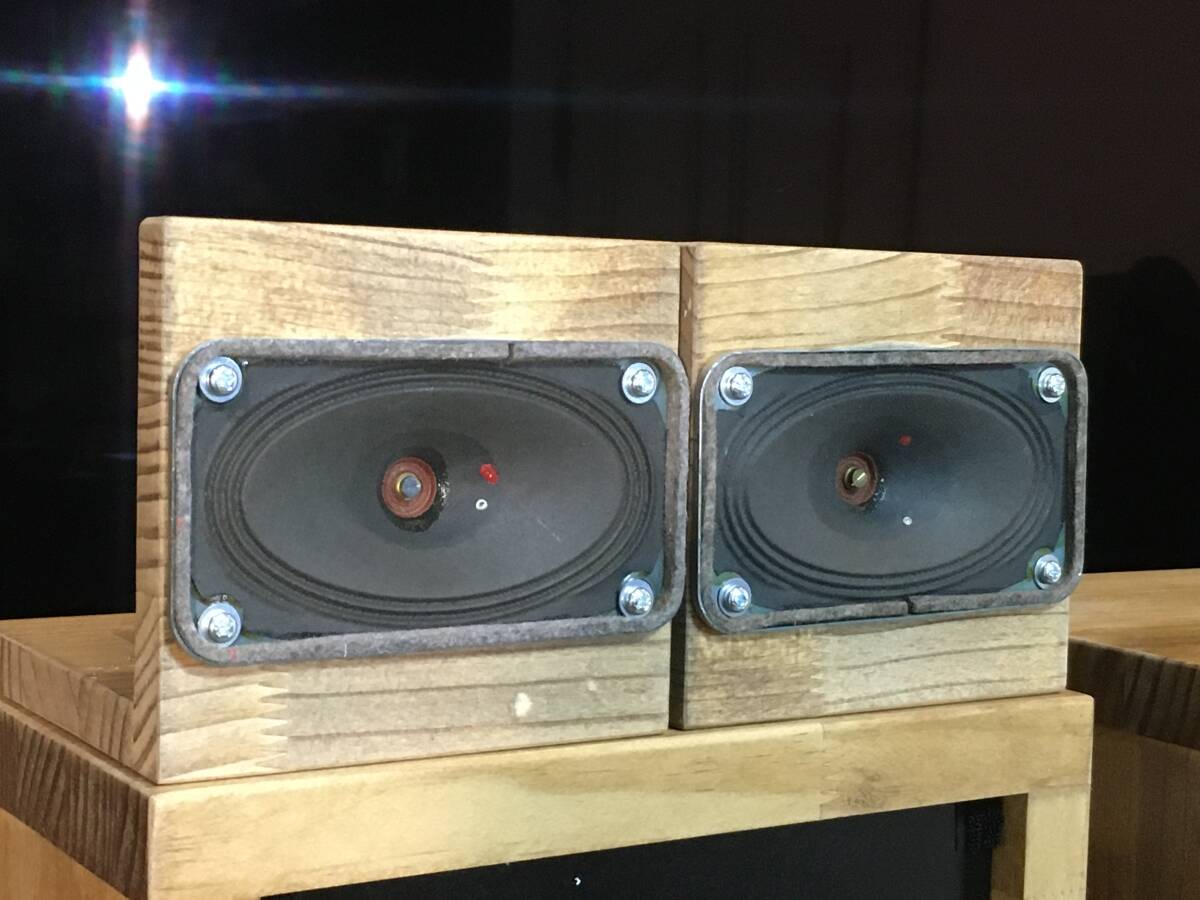 西独Telefunken ビンテージ アドオンアルニコツィータシステム ペア