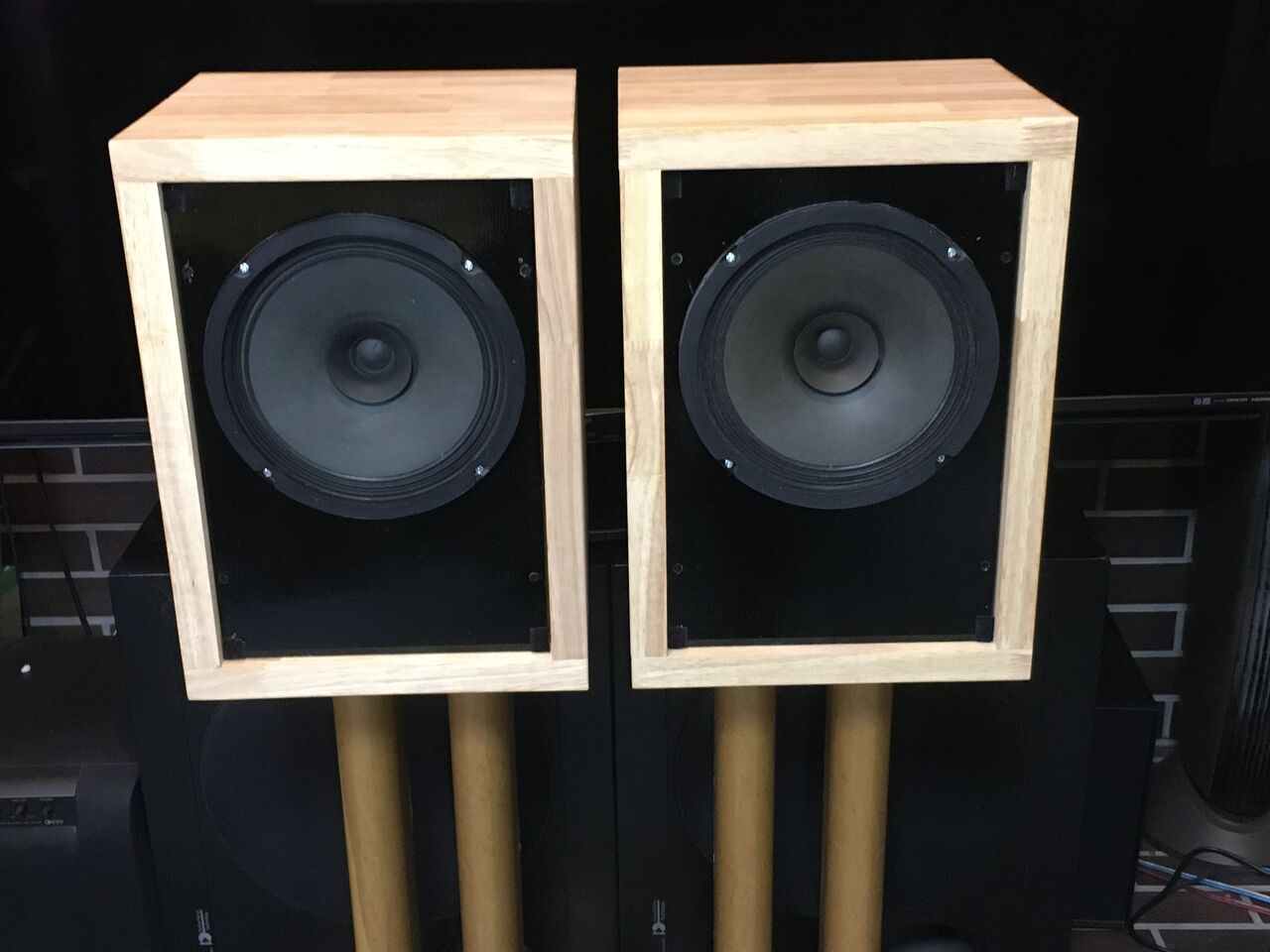 独 VISATON20cm口径フルレンジ＝BG20システム 高能率・広帯域 ペア