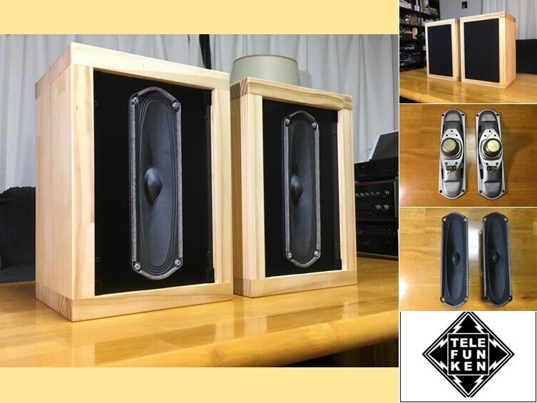 Telefunken ビンテージアルニコ 超(長)楕円スピーカー システム Telefunken ビンテージアルニコ 超(長)楕円スピーカー システム