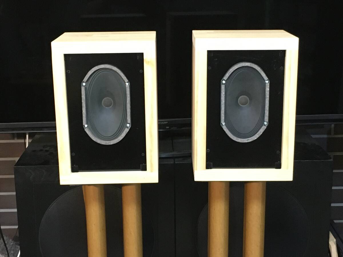 Telefunken 録音モニターペア 高音質 小出力真空管アンプにも最適