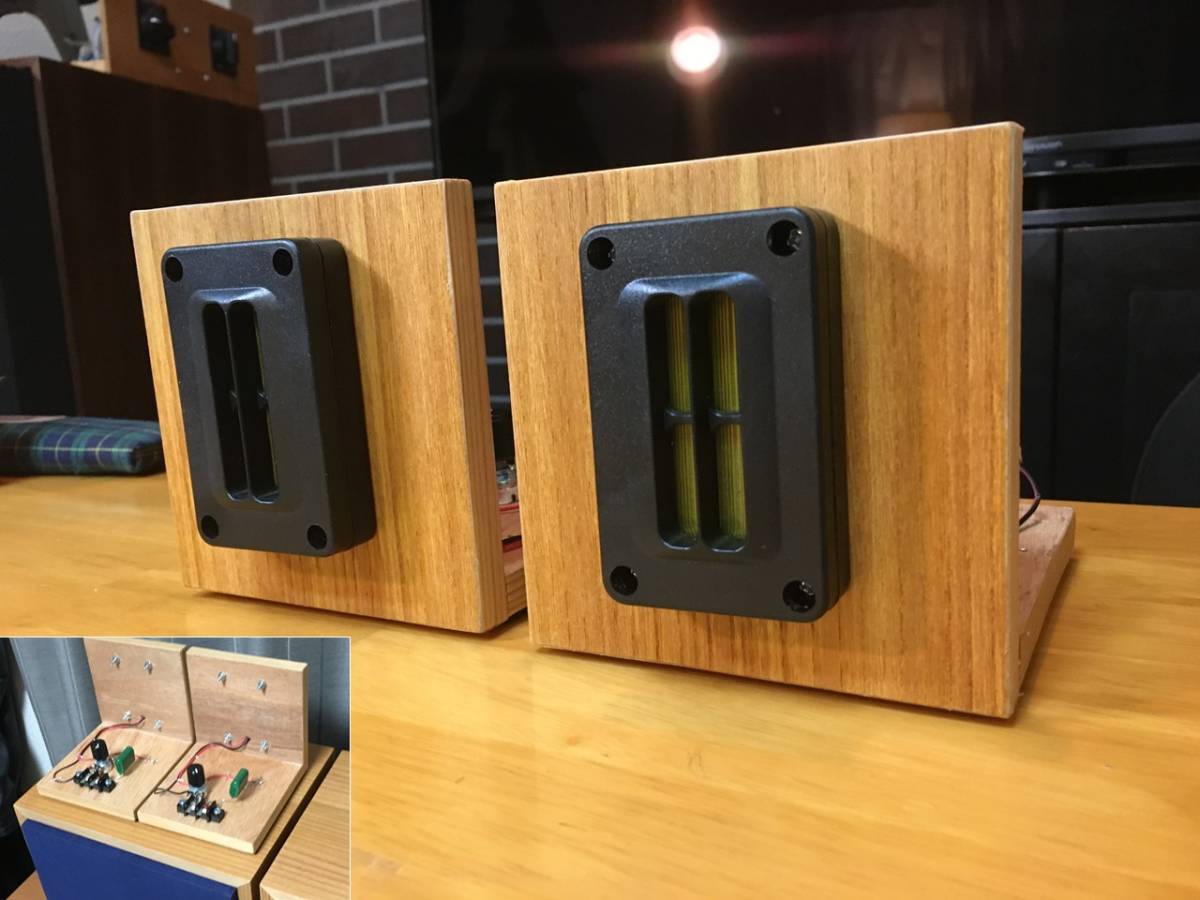 Philips Ribbon RT-2 アドオンスーパーツィータシステム ペア