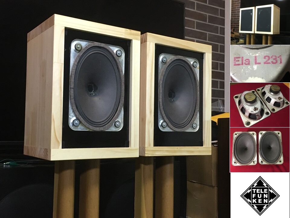 値下げ Telefunken アルニコ18×26㎝ スピーカーペア ウルトラレア！Telefunken 純正18×26㎝ 究極ユニット Ela L231