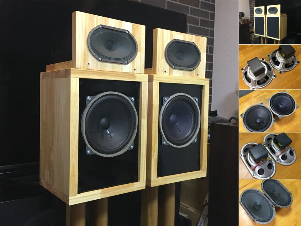 西独 Telefunken ビンテージ総アルニコ P-203S2Wayシステム 最高音質