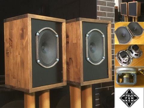 Telefunken アルニコフルレンジ 傑作P1521 システム ペア
