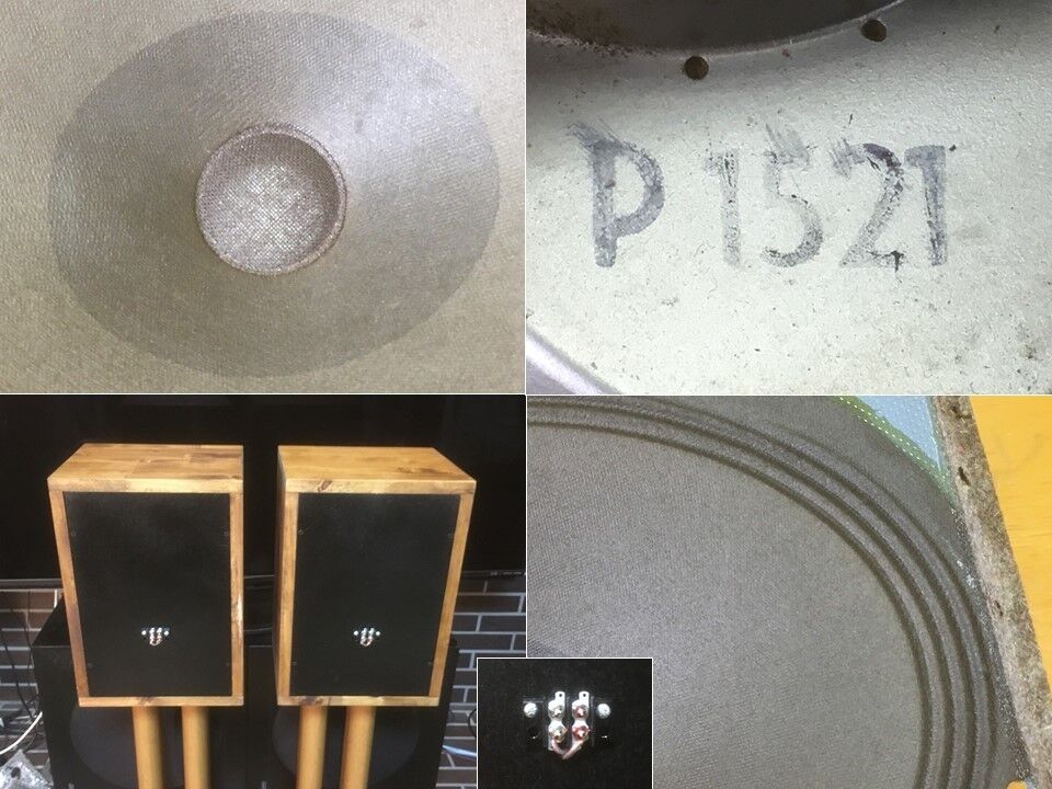 蘇るビンテージ！Isophon アルニコフルレンジ P1521 システム ペア! 蘇るビンテージ！Isophon アルニコフルレンジ 傑作P1521