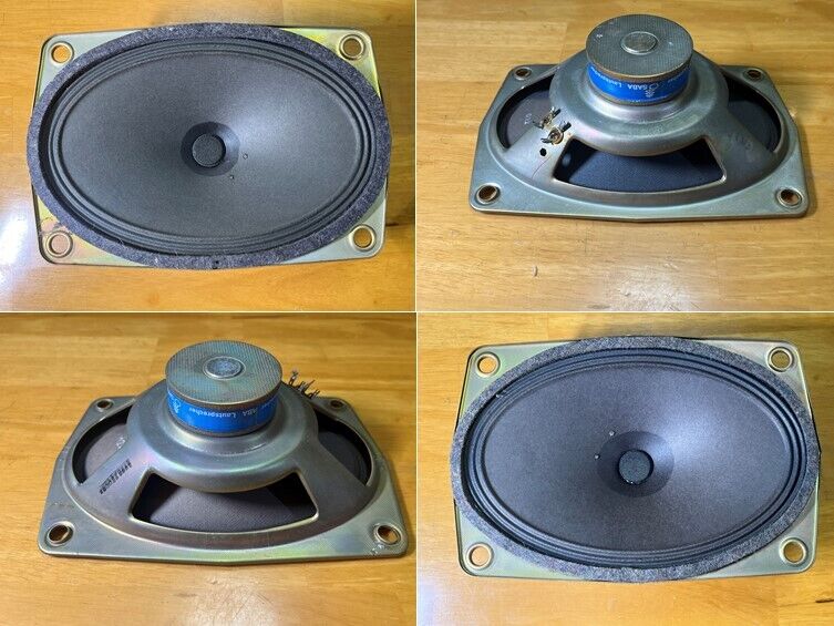西独SABA 傑作フルレンジユニットシステム 透明感ある美音