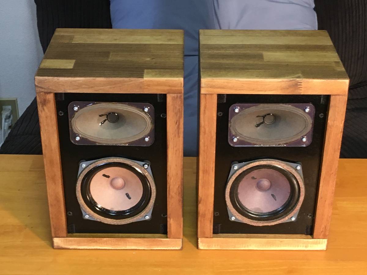 Telefunken 強力2Way システム L20ユニットシステム ペア!凄い Telefunken 強力2Way システム L20ユニットシステム ペア!凄い