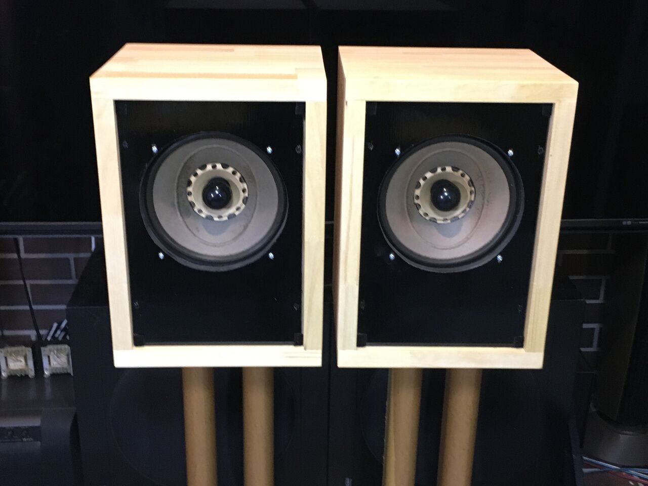 Technics 20cm口径フルレンジ＝ゲンコツ＝20PW49Sシステム 高音質