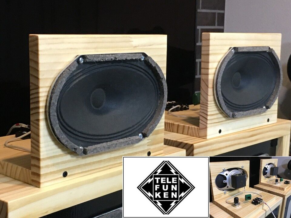 Telefunken ビンテージ アドオンアルニコツィータシステム ペア