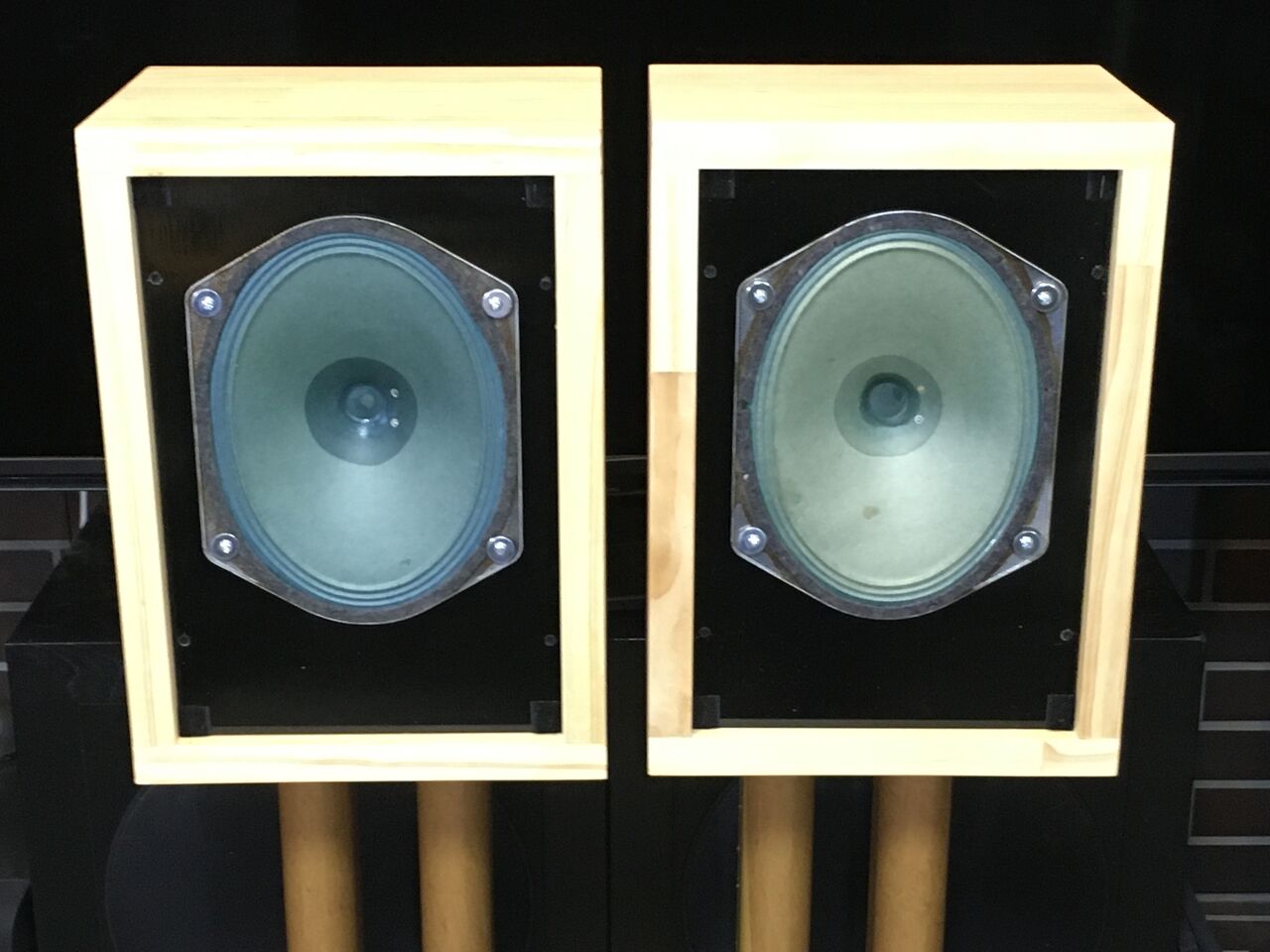 西独SABAレアビンテージ大型アルニコグリーンコーンフルレンジシステム