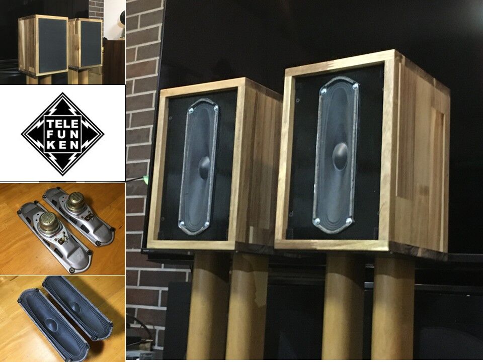 西独 Telefunken ビンテージ超楕円フルレンジスピーカー 広帯域・高