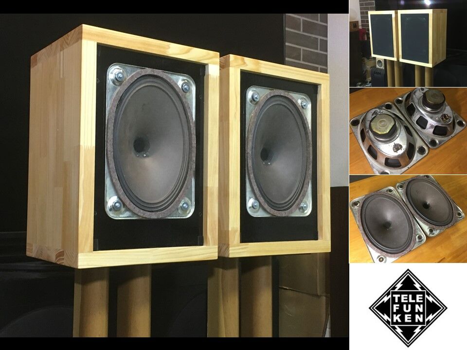 Telefunken 純正18×26㎝ 究極ユニット Ela L231 システム ビンテージユニットを蘇らせる！Telefunlen 18x26cm口径
