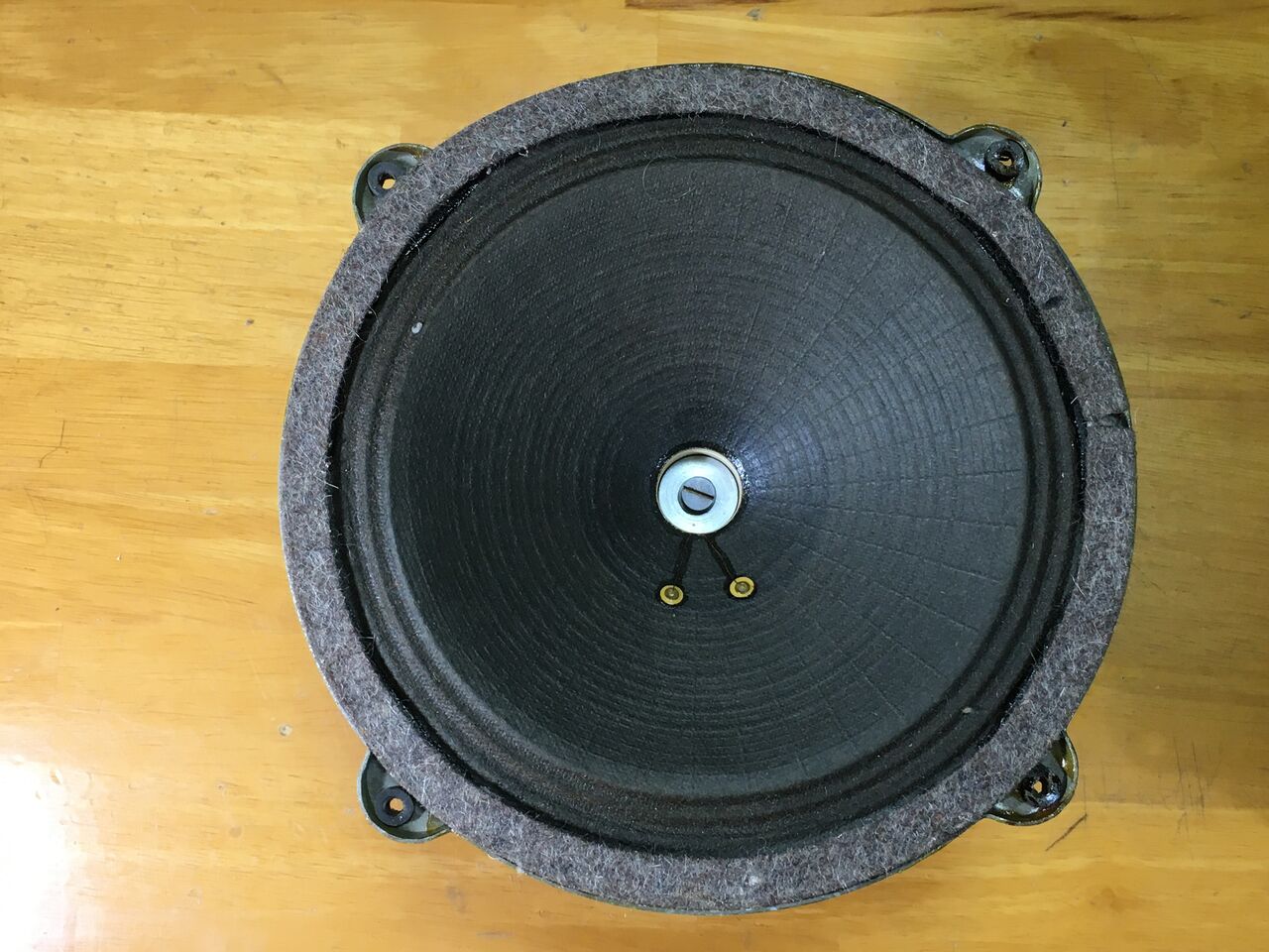 Telefunken 純正18×26㎝究極ユニットシステム伝説のサウンド ペア! TELEFUNKEN ECC82 Smooth plate 12AU7 NOS管 70年代@27814