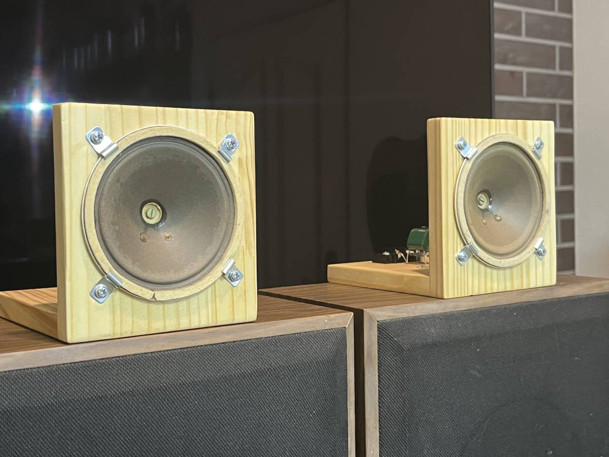 西独SABA ビンテージ アドオン110㎜口径アルニコツィータシステム 西独