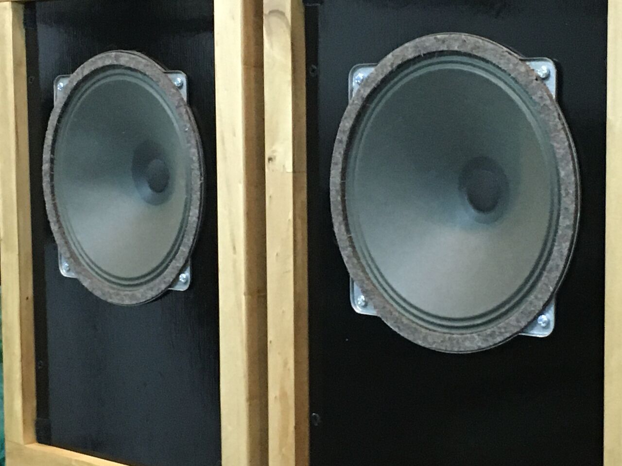 FEHO/Telefunken ウルトラレア 18㎝ システム_最高のシングル
