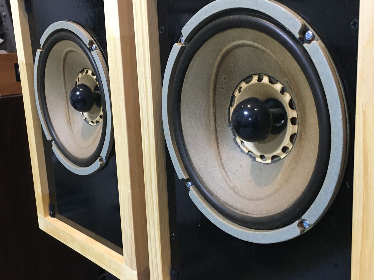 蘇るビンテージTechnics 20cm口径フルレンジ＝ゲンコツ＝20PW49S