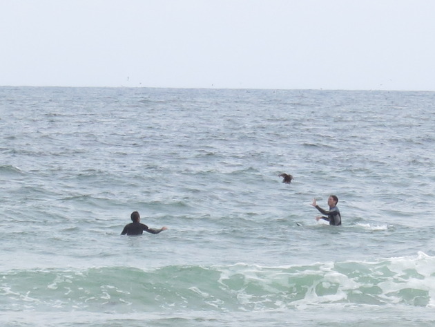 夏だ!海だ!エンドレスサマー制度だ!平日休みを満喫しているサーフィン部に密着してみました。