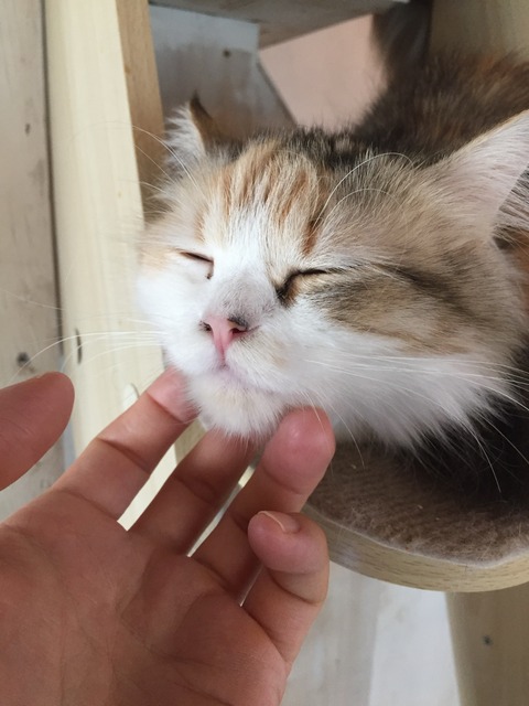 no title
