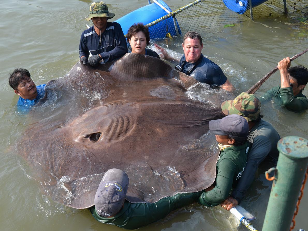 動物 ジオろぐ 動物 ジオろぐ
