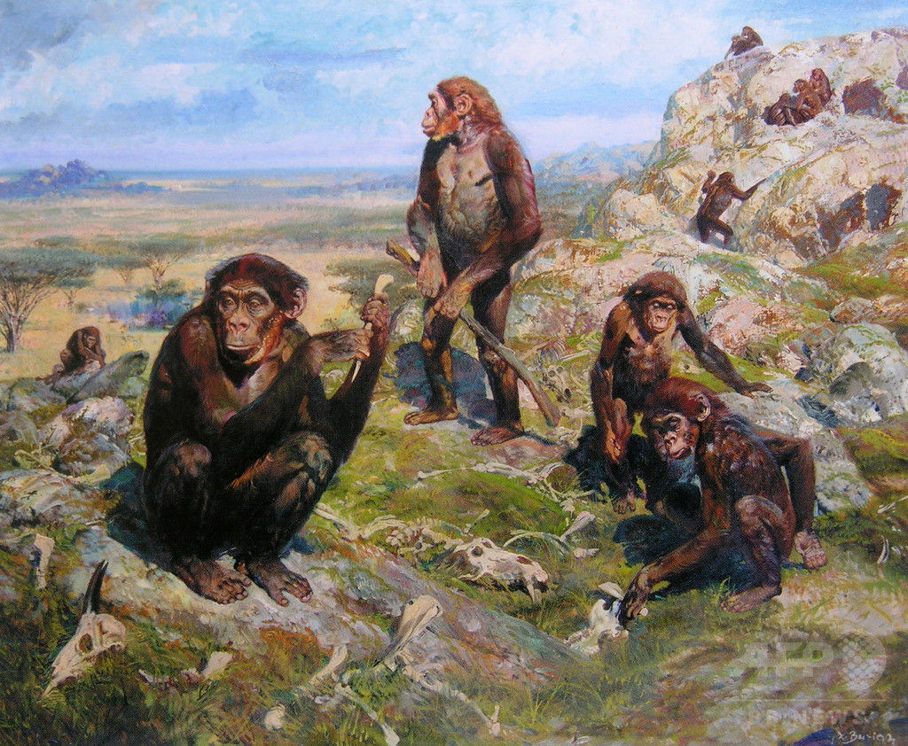 古人類 3万年前の猿人に 現人類に似た手 道具使えた ジオろぐ