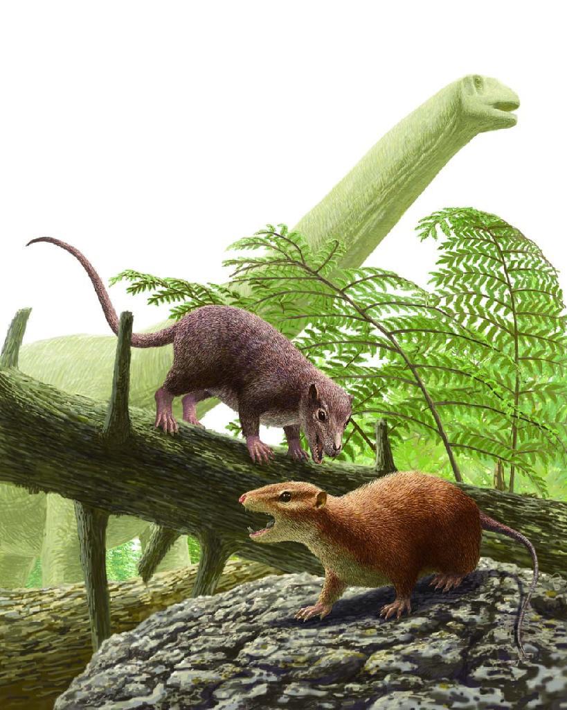 古生物 ジオろぐ