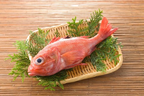 キンキンとキンメダイってどっちが美味しいの？