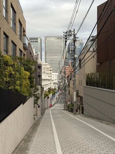 東京旅行中なんだけど東京ってすげえな